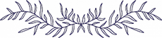 seperator